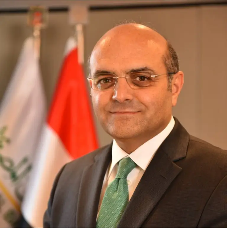 Mr. Hesham Elsafty